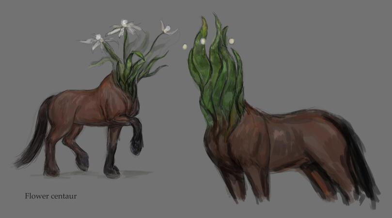 Flower centaur